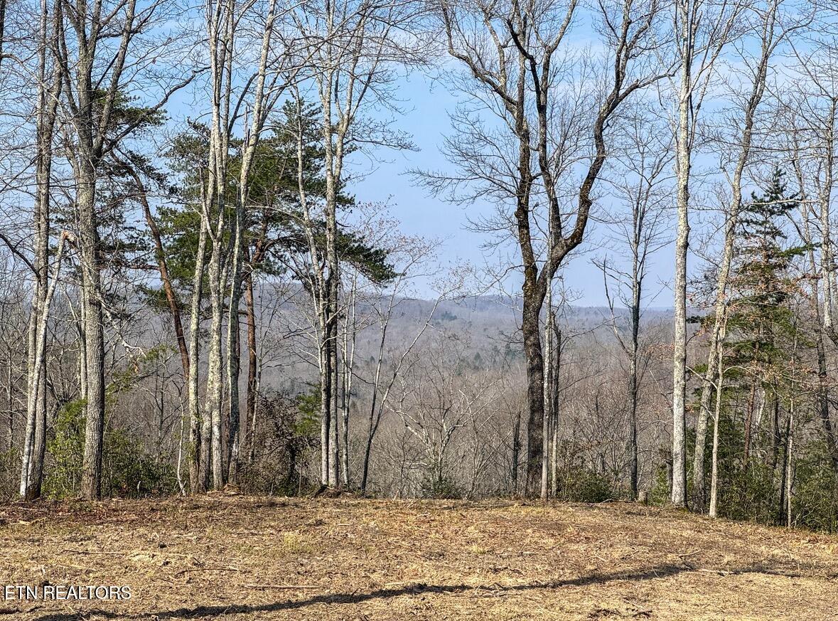 Clifty Creek Road Winfield, TN 37892 - Photo 9 of 10 IMG_2293