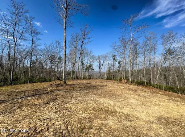 $89,900 | Clifty Creek Road, Winfield, TN 37892