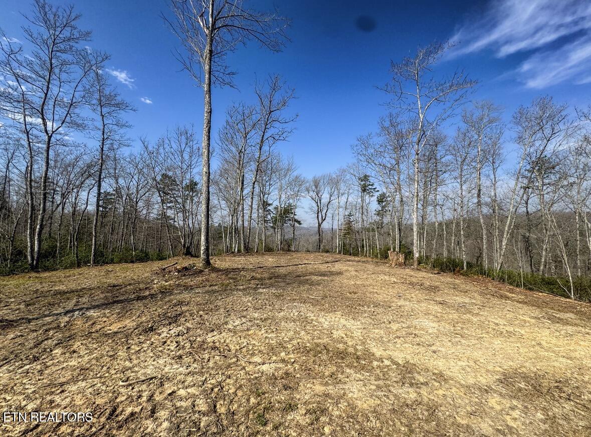 Clifty Creek Road Winfield, TN 37892 - Photo 10 of 10 IMG_2292