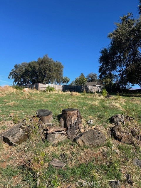 3898 Neal Road Paradise, CA 95969 - Photo 11 of 11 a view of a grassy area with an trees