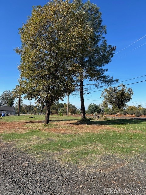3898 Neal Road Paradise, CA 95969 - Photo 3 of 11 a view of a yard with a tree