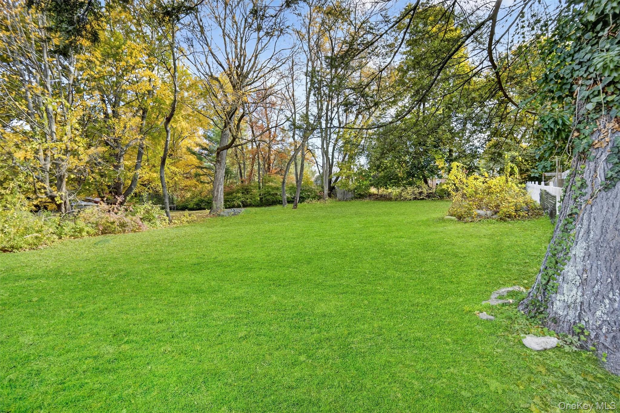 322 Old Rte 22 Pawling, NY 12564 - Photo 44 of 50 a view of a trees with a big yard