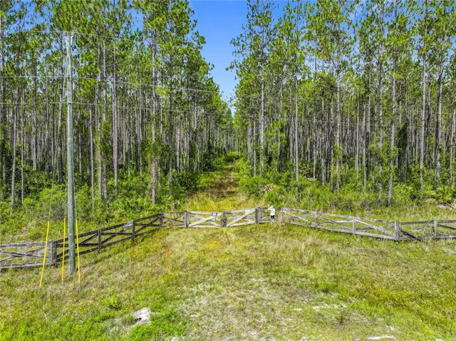 a view of an outdoor space and yard