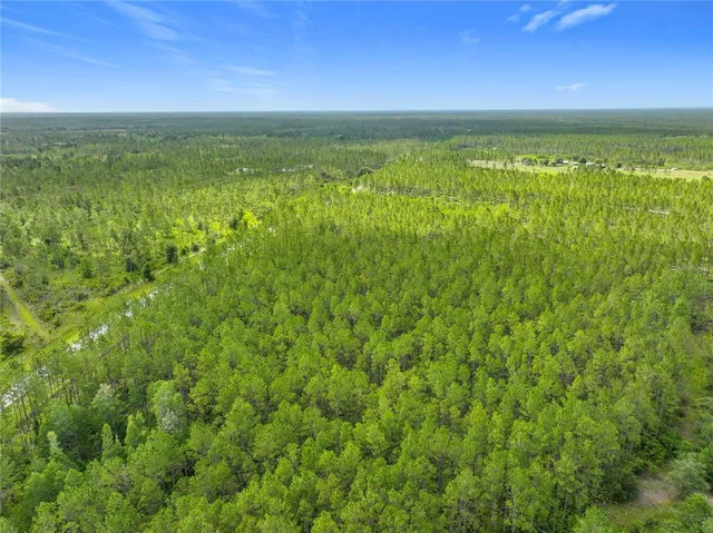 a view of an ocean from a big yard