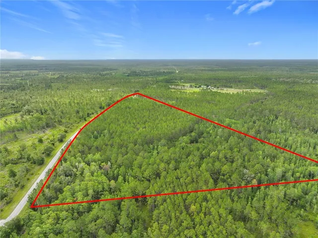 a view of a field with an ocean