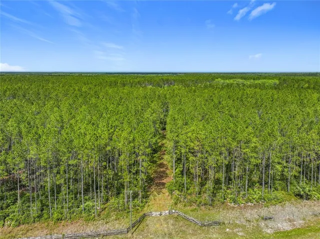a view of yard with swimming pool