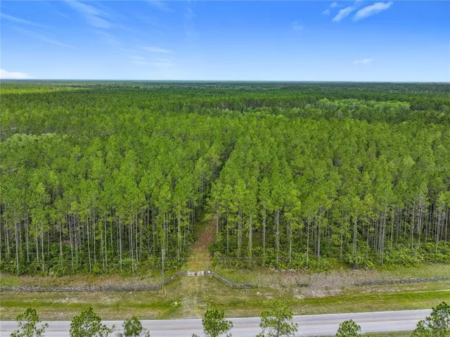 a view of a green field with lots of bushes
