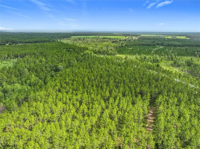 $225,000 | 336 Northwest Chiefland, Chiefland, FL 32626