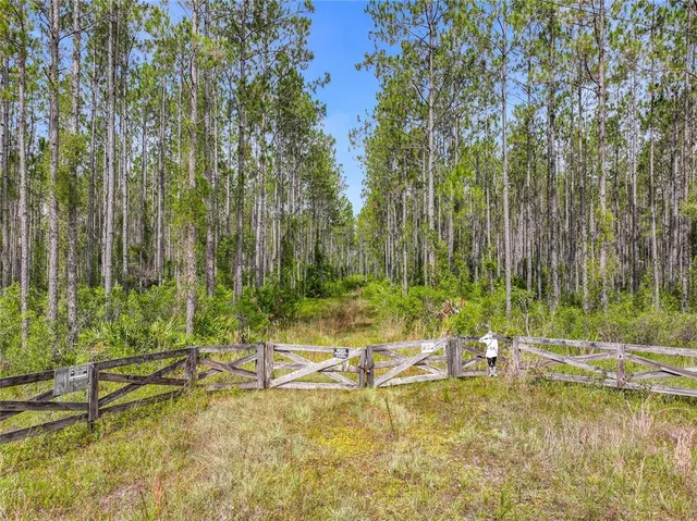 a view of swimming pool from a yard