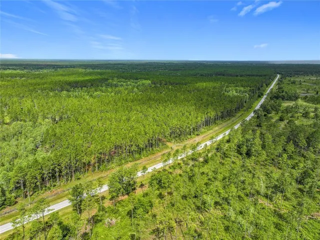 a view of yard with grass and green space