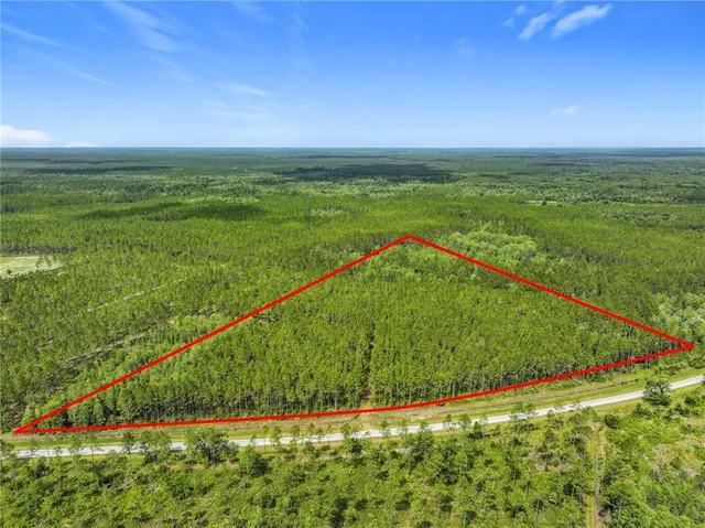 a view of a field with an ocean