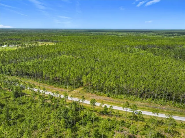 a view of a field with an ocean