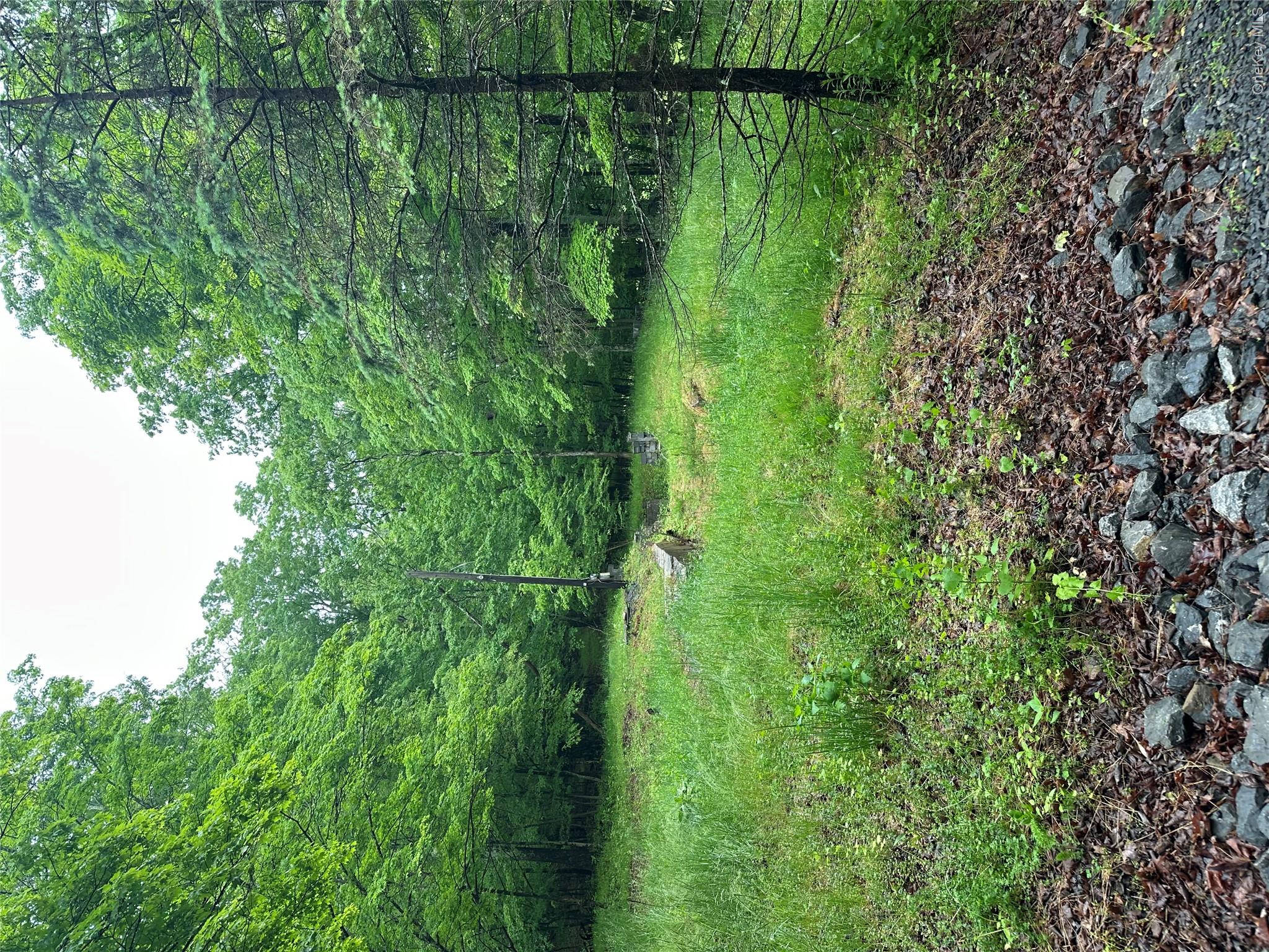 804 Hearts Content Road Cairo, NY 12473 - Photo 4 of 34 a view of a green field with lots of bushes
