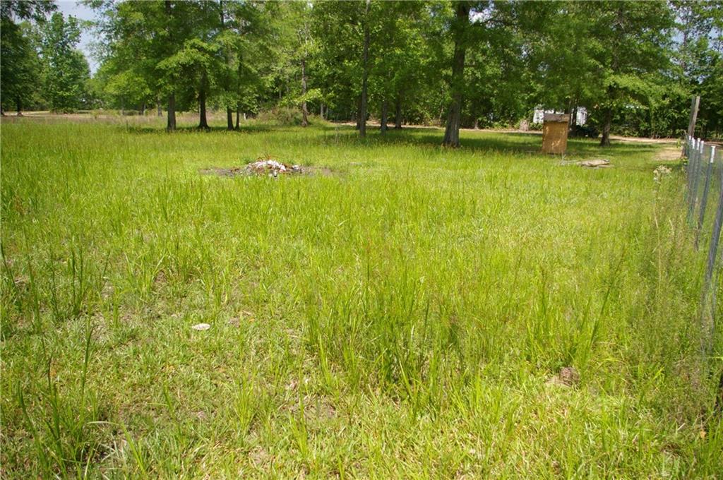 22230 Morgan Howes Road Ponchatoula, LA 70454 - Photo 20 of 21 Gallery Image 20