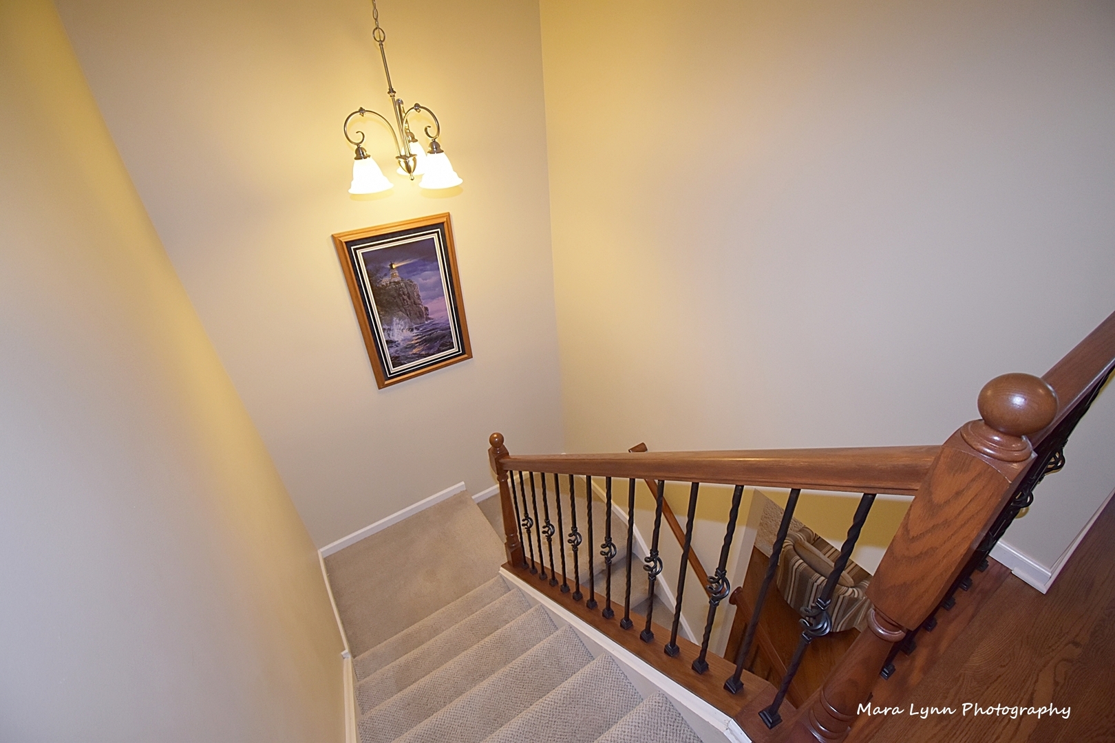 1221 Falcon Ridge Drive Elgin, IL 60124 - Photo 11 of 30