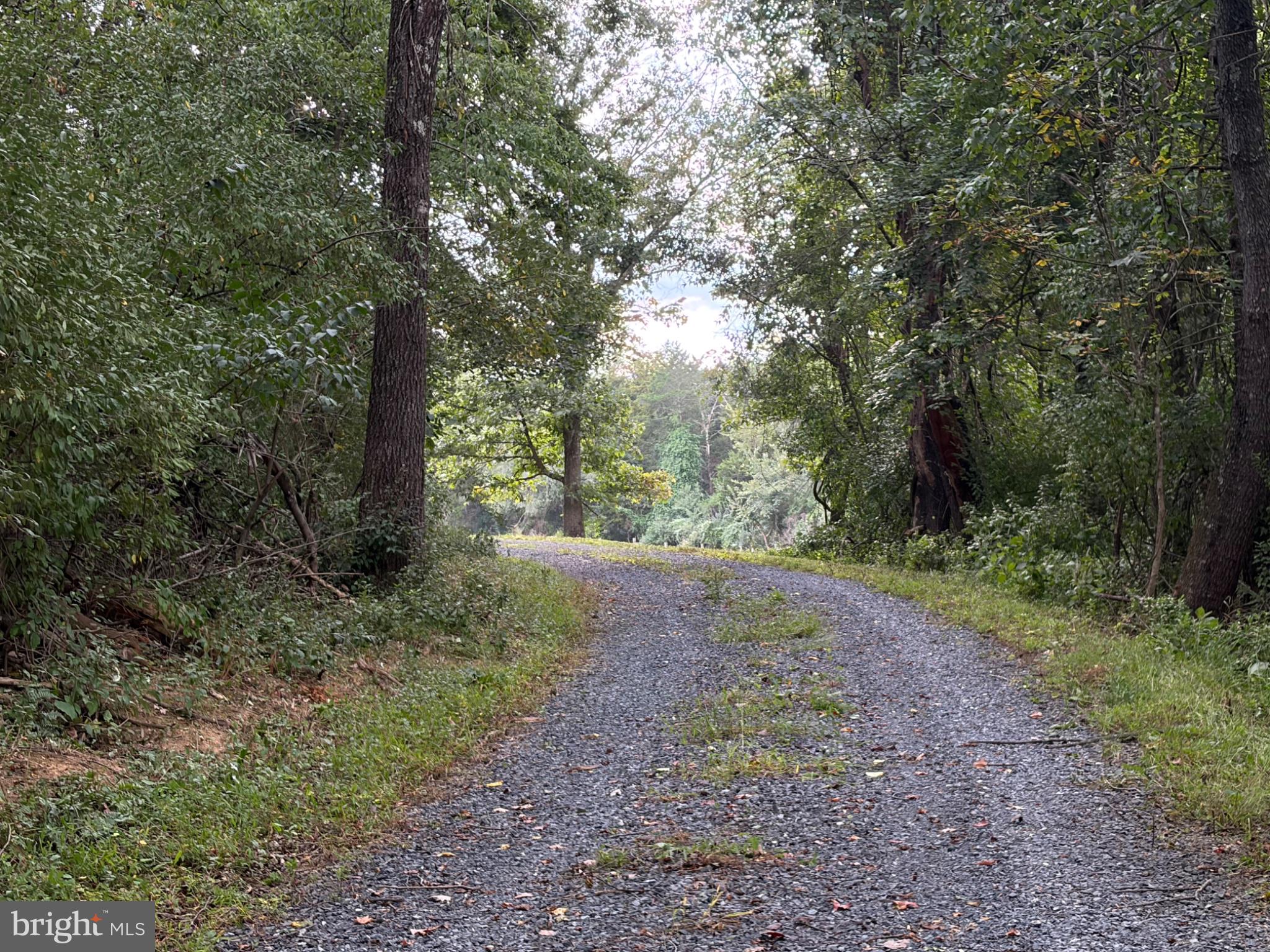 2983 Old Winchester Road Boyce, VA 22620 - Photo 67 of 98 The lane has been regraded and graveled.