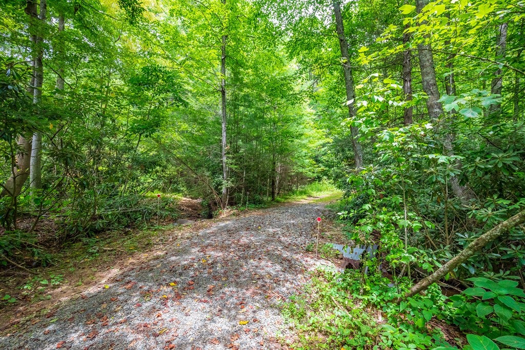 474 Scratch Gravel Road, Unit 96 Ivanhoe, VA 24350 - Photo 62 of 75 Gallery Image 62