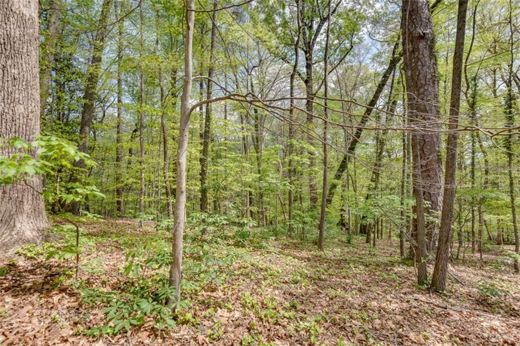 4276 Wieuca Road Northeast Atlanta, GA 30342 - Photo 11 of 27