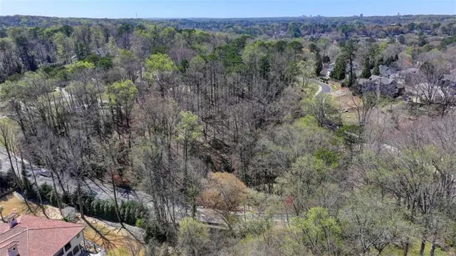 a view of a forest with trees in the background