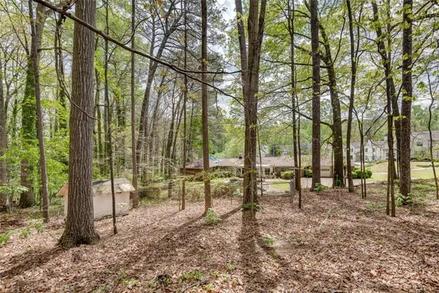 a view of outdoor space with lots of trees