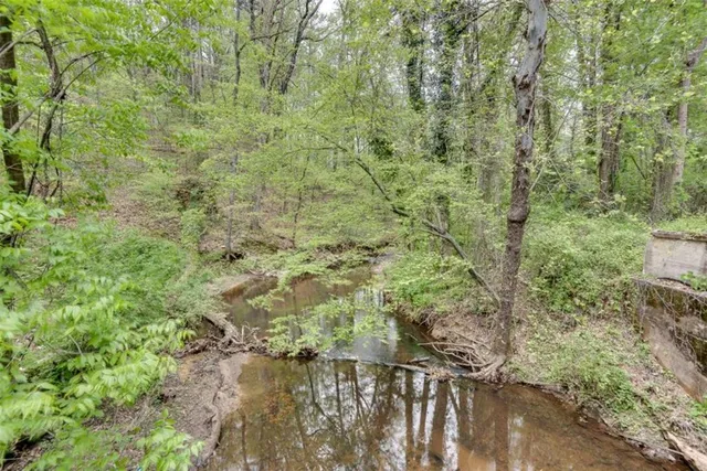 a view of a forest with a tree