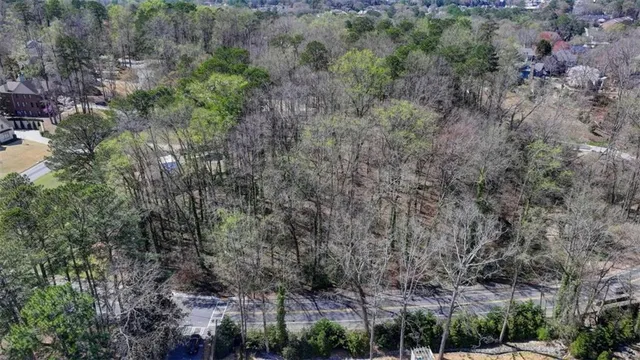 a view of a forest with lots of trees