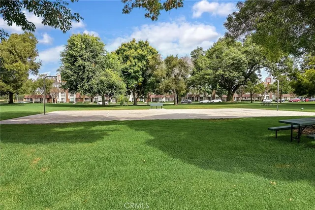 a park with a bench and trees