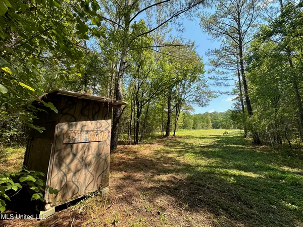 $355,000 | 2 Forest Service Road 562, Pulaski, MS 39152