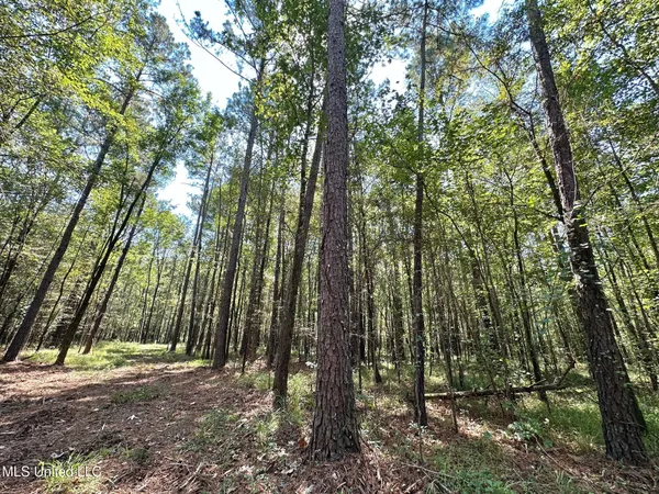 $355,000 | 2 Forest Service Road 562, Pulaski, MS 39152