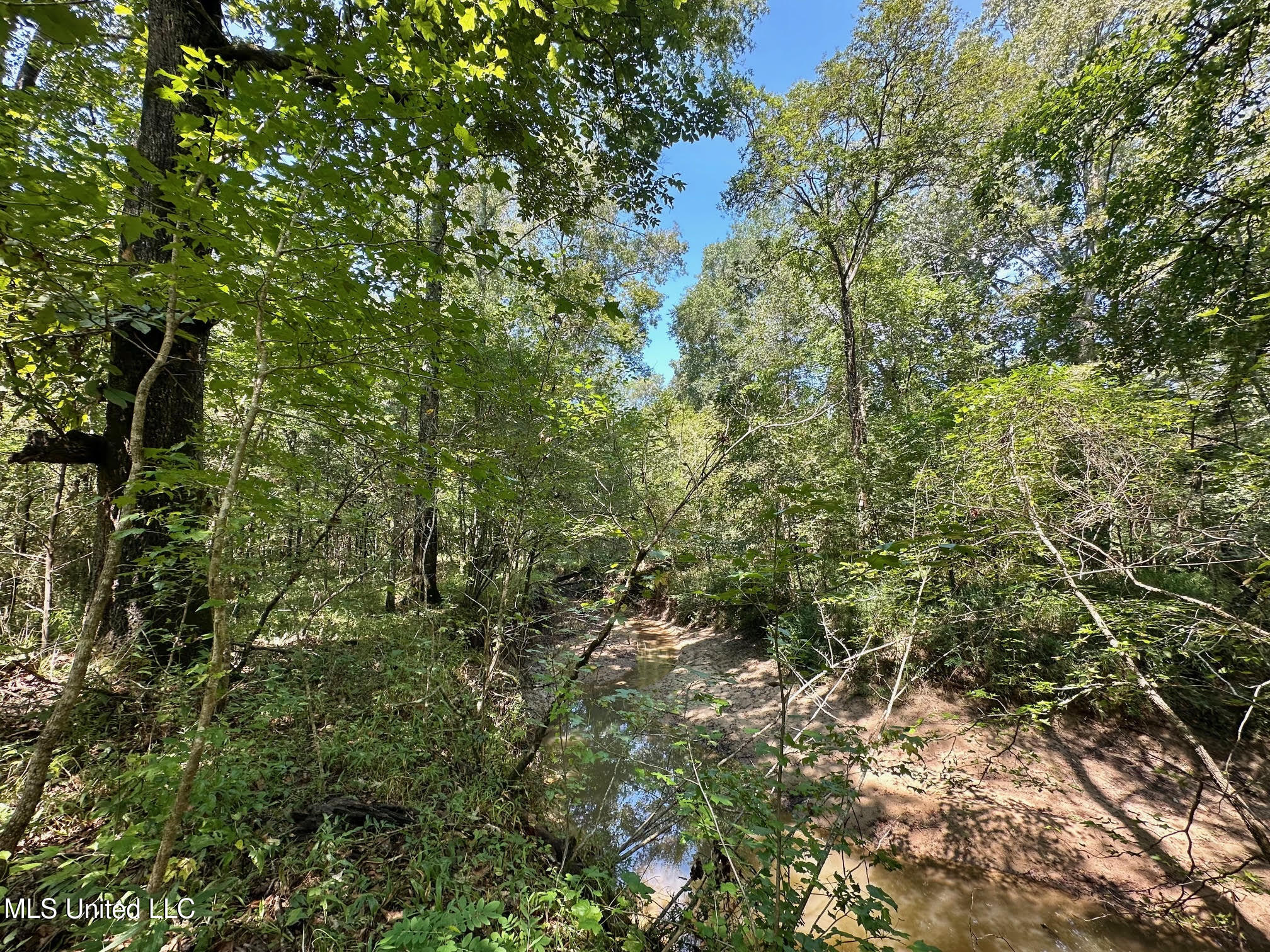 2 Forest Service Road 562 Pulaski, MS 39152 - Photo 17 of 53 230