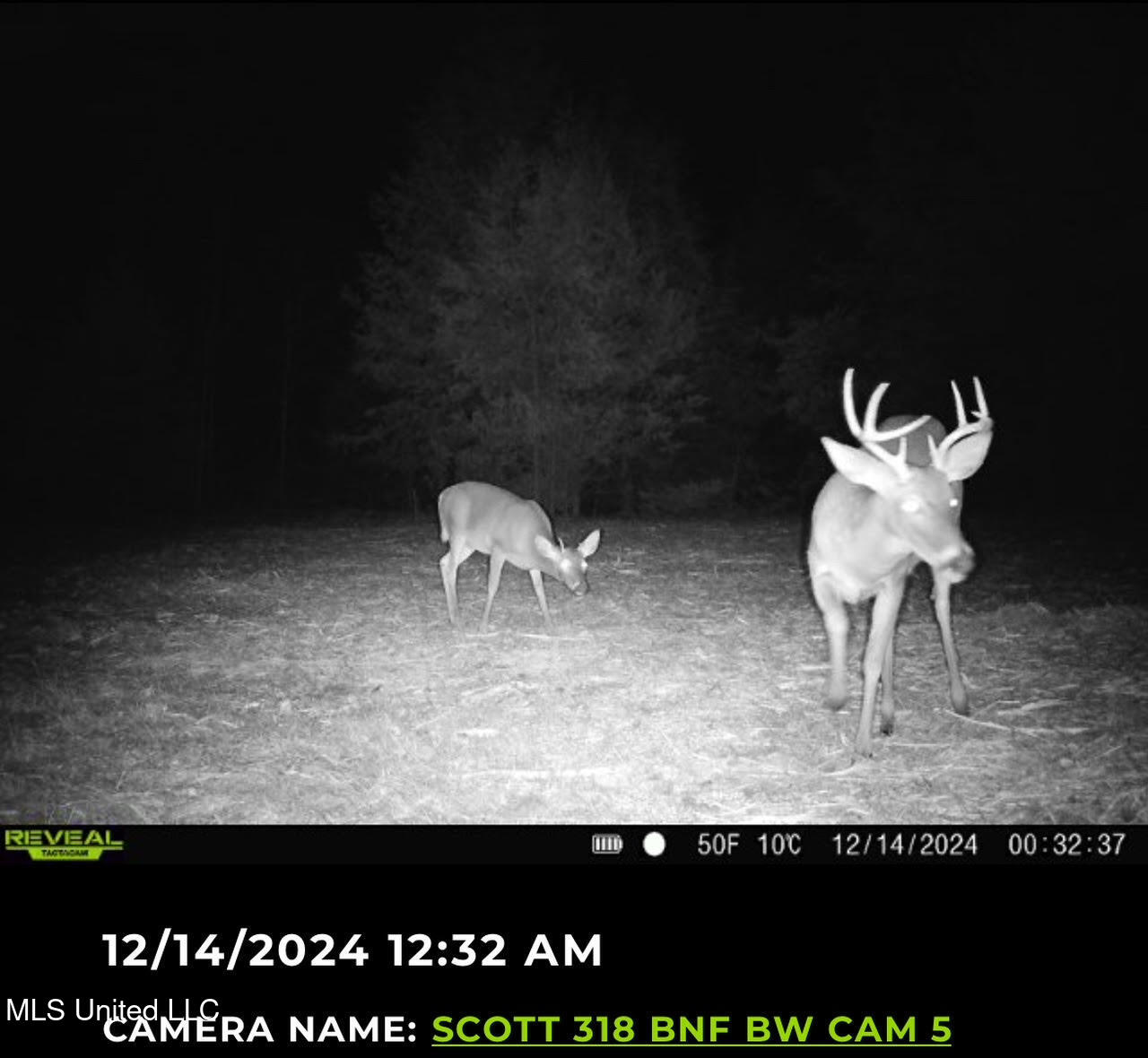 2 Forest Service Road 562 Pulaski, MS 39152 - Photo 2 of 53 78