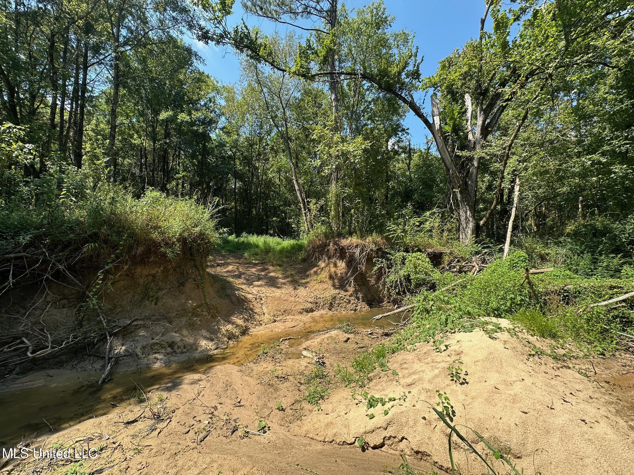 2 Forest Service Road 562 Pulaski, MS 39152 - Photo 21 of 53 236