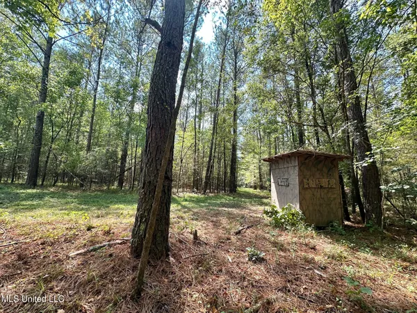 $355,000 | 2 Forest Service Road 562, Pulaski, MS 39152