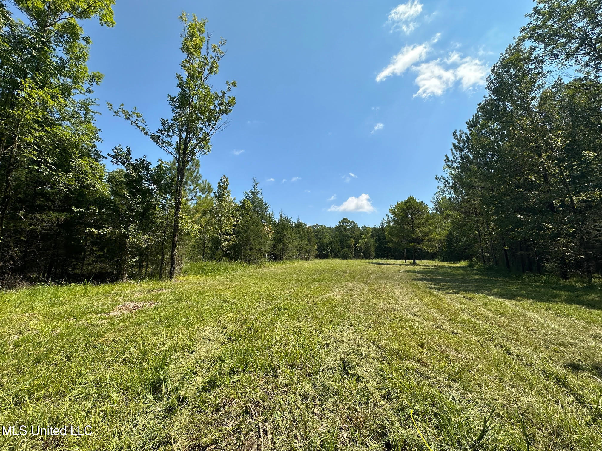 2 Forest Service Road 562 Pulaski, MS 39152 - Photo 24 of 53 240