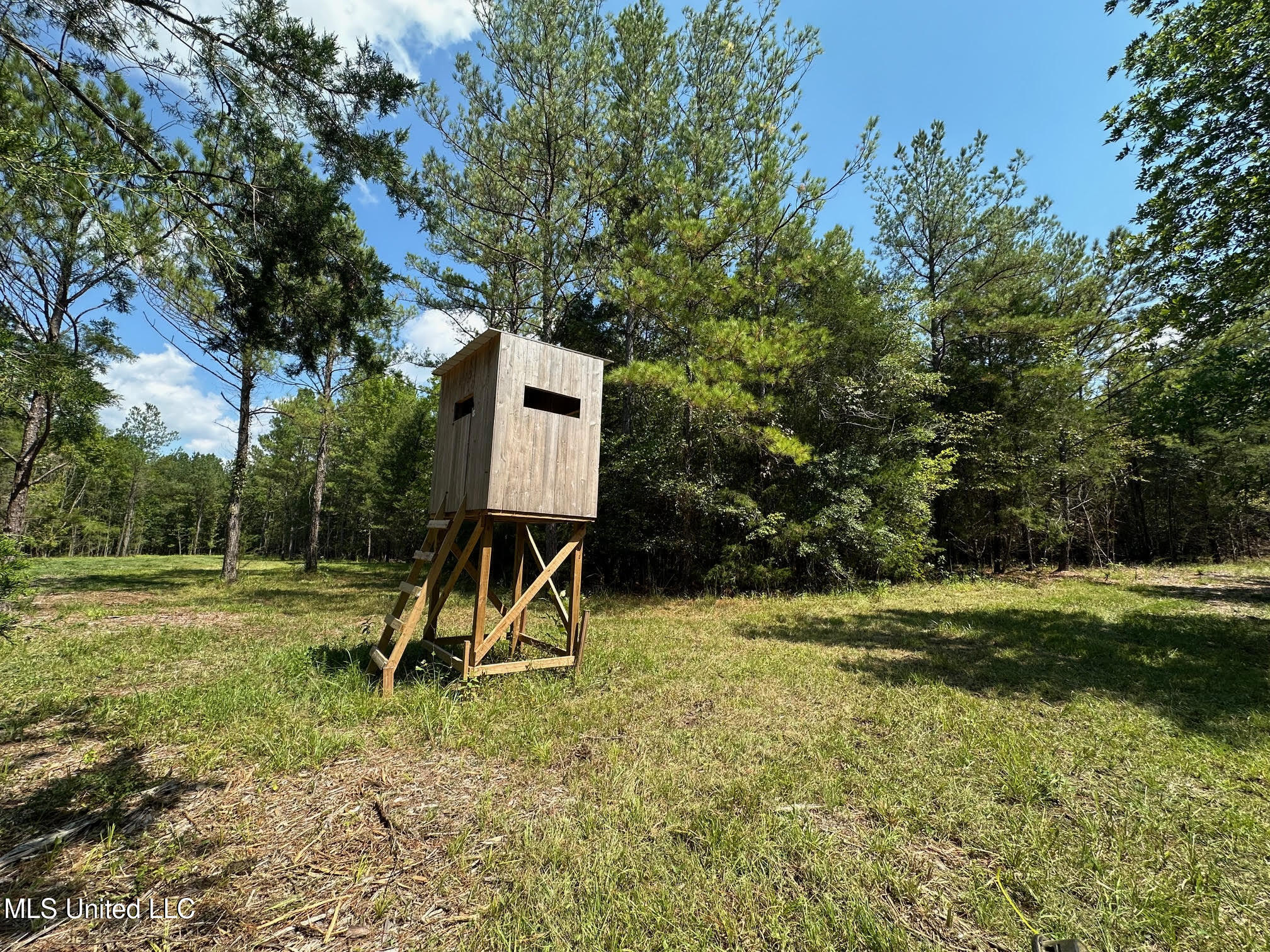 2 Forest Service Road 562 Pulaski, MS 39152 - Photo 25 of 53 241