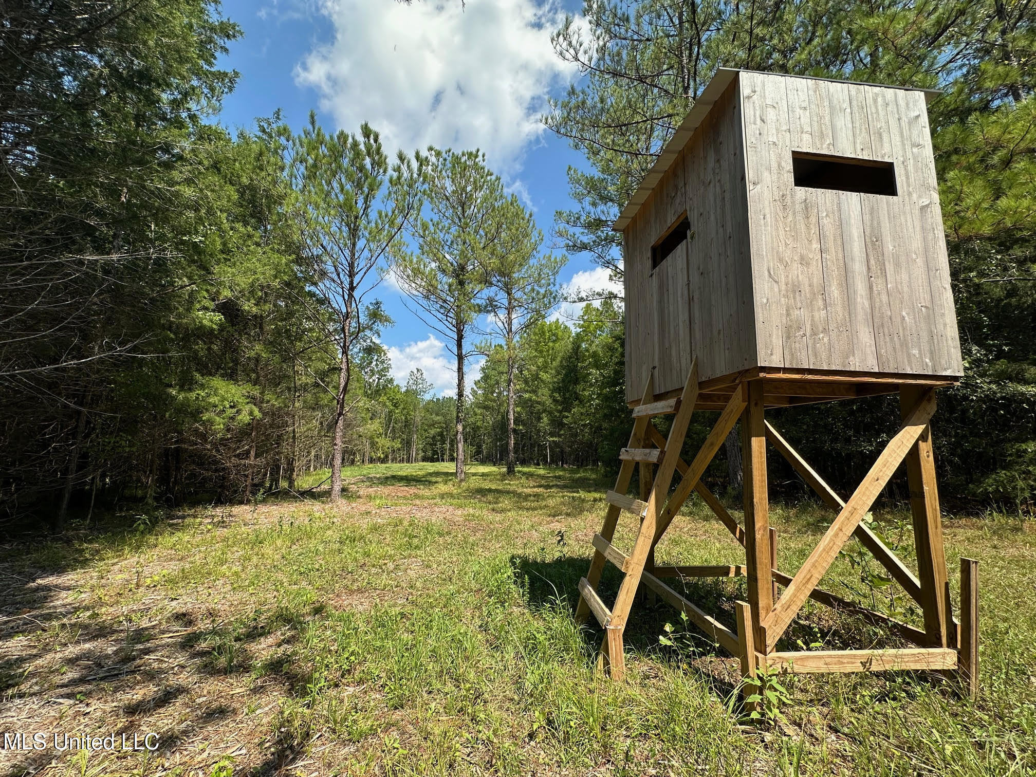 2 Forest Service Road 562 Pulaski, MS 39152 - Photo 26 of 53 242