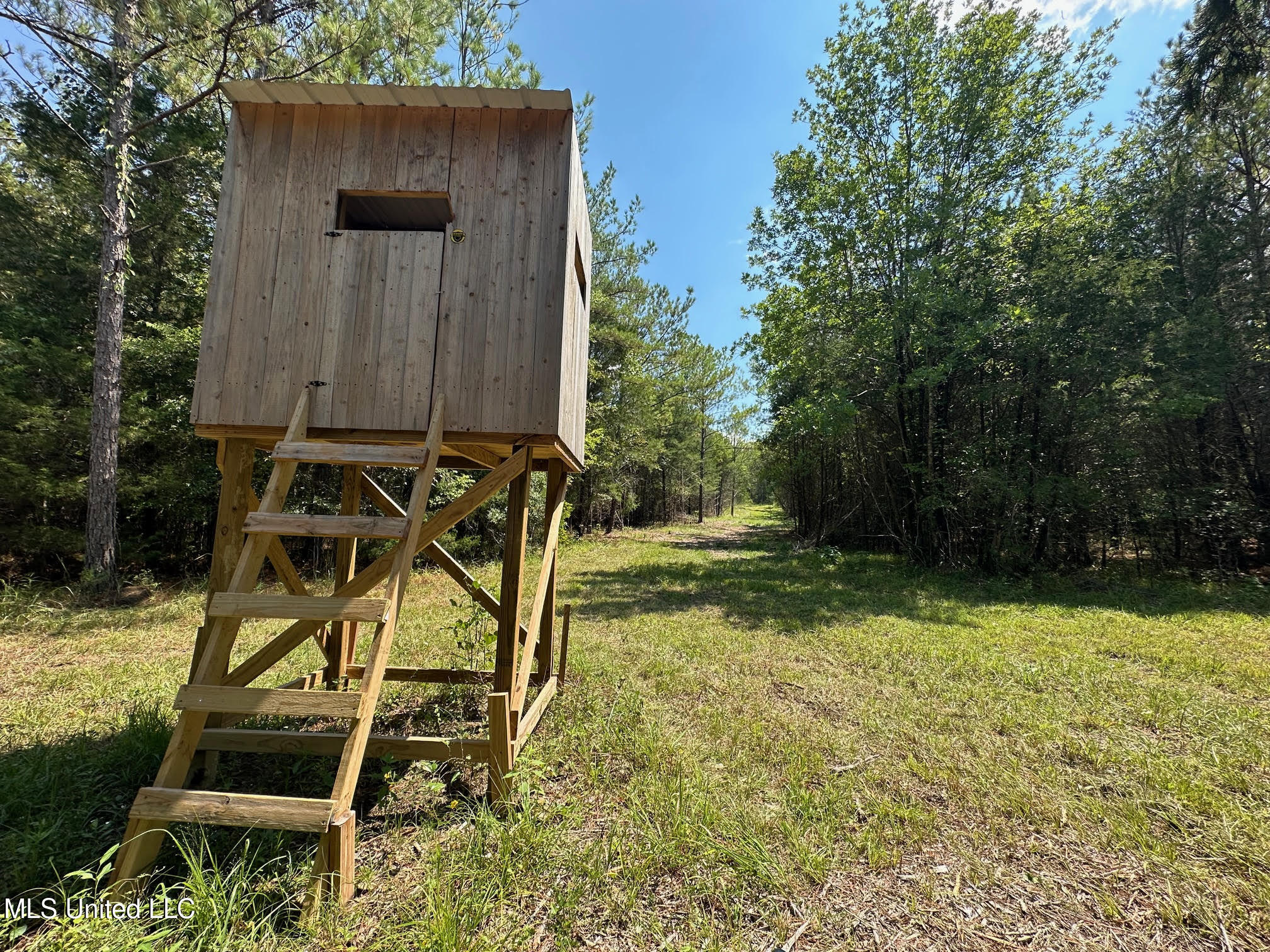 2 Forest Service Road 562 Pulaski, MS 39152 - Photo 28 of 53 244