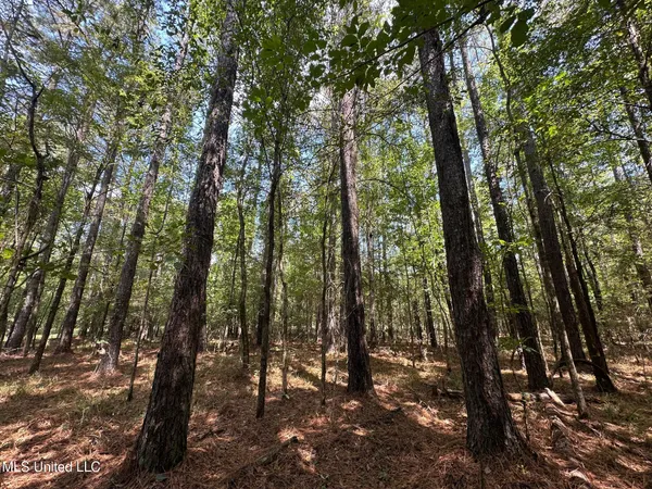 $355,000 | 2 Forest Service Road 562, Pulaski, MS 39152