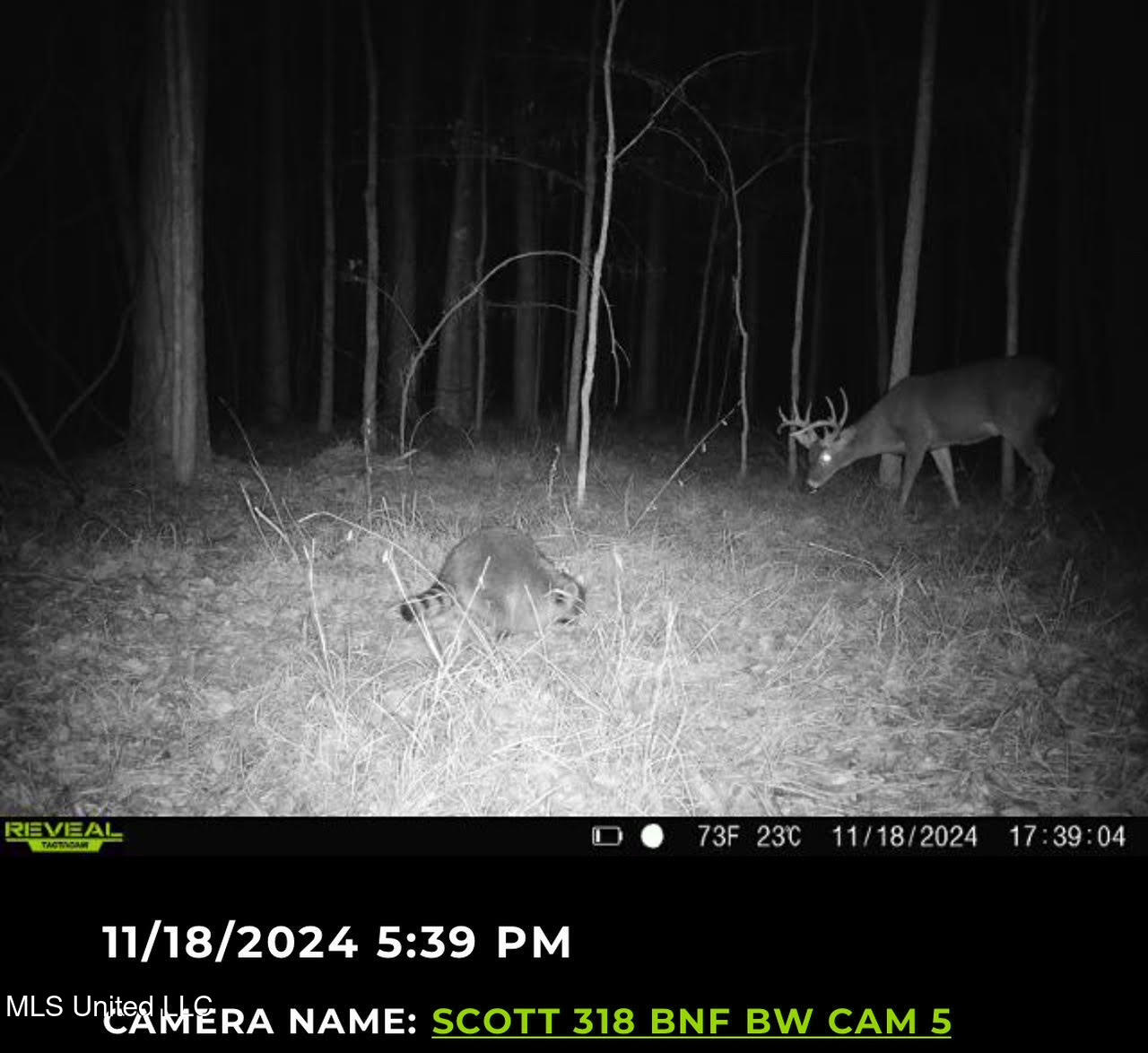 2 Forest Service Road 562 Pulaski, MS 39152 - Photo 3 of 53 81