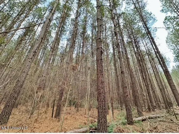 $355,000 | 2 Forest Service Road 562, Pulaski, MS 39152