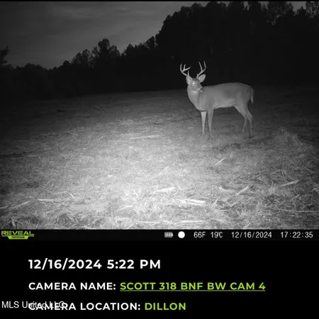 $355,000 | 2 Forest Service Road 562, Pulaski, MS 39152