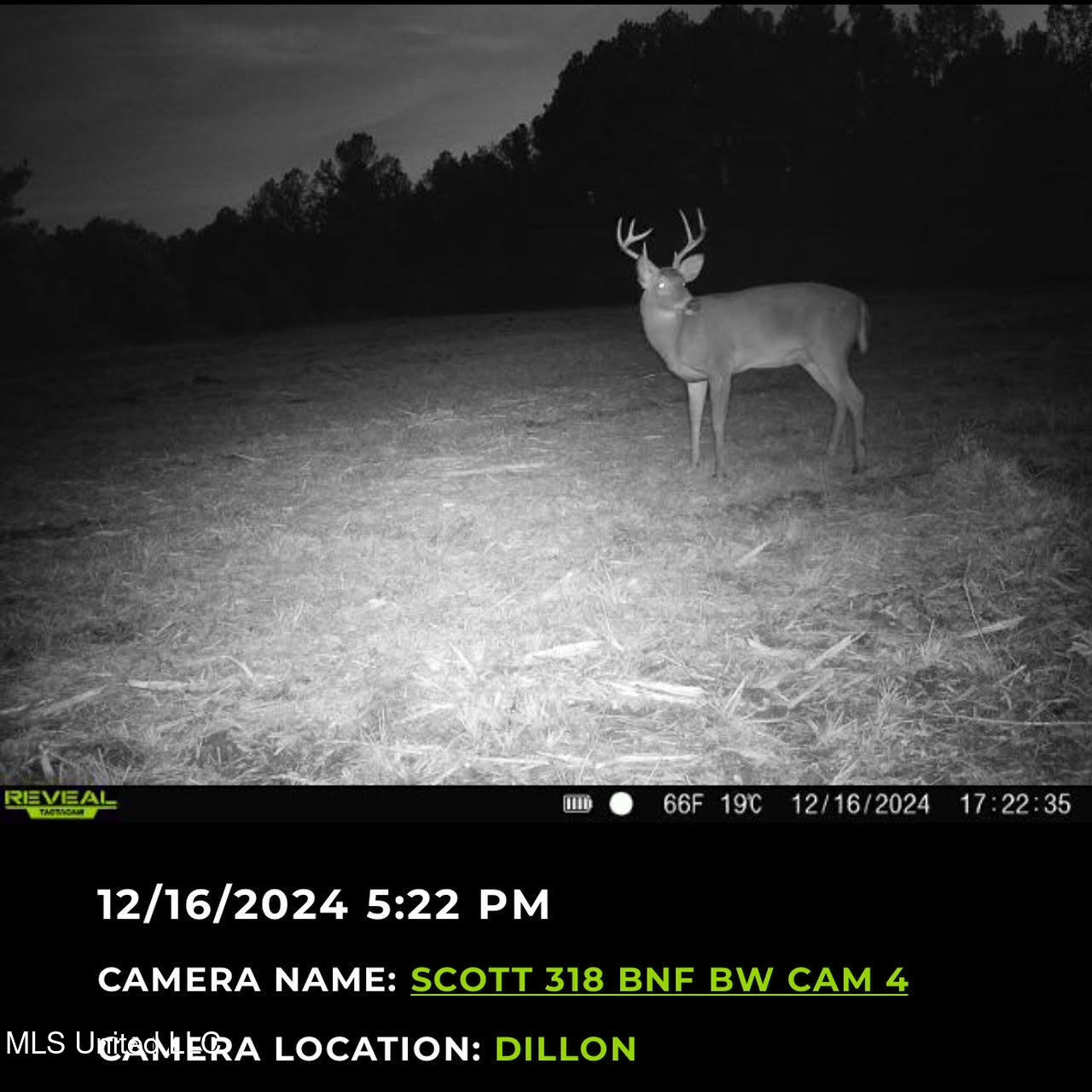 2 Forest Service Road 562 Pulaski, MS 39152 - Photo 4 of 53 82