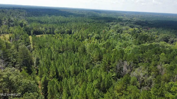 $355,000 | 2 Forest Service Road 562, Pulaski, MS 39152