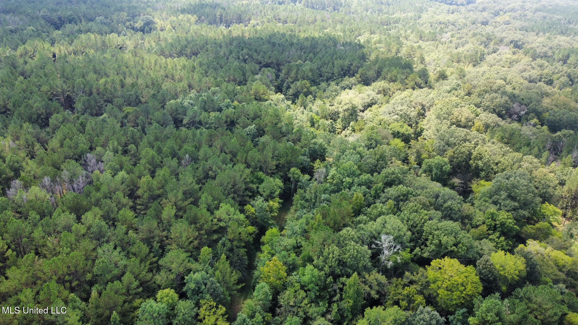 2 Forest Service Road 562 Pulaski, MS 39152 - Photo 46 of 53 307