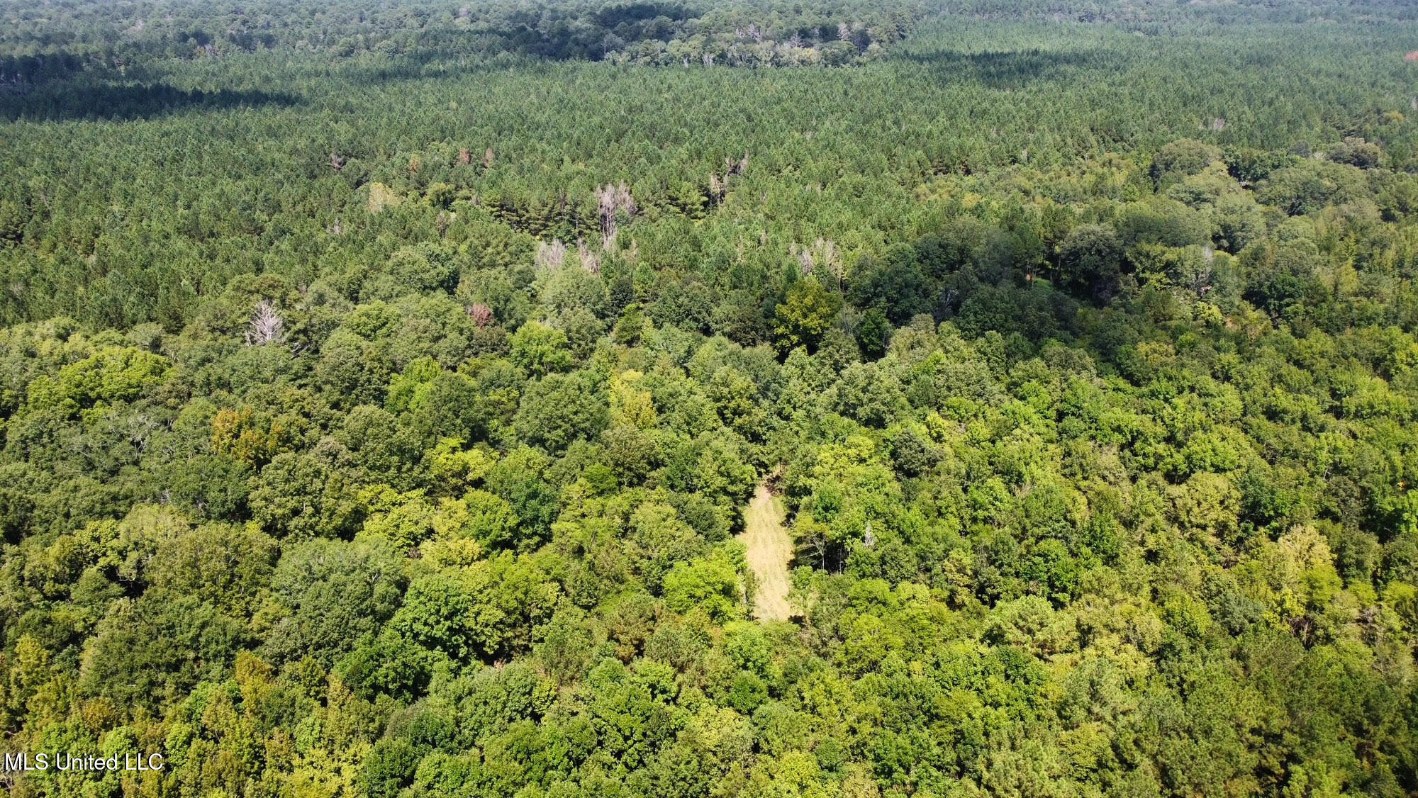 2 Forest Service Road 562 Pulaski, MS 39152 - Photo 47 of 53 314