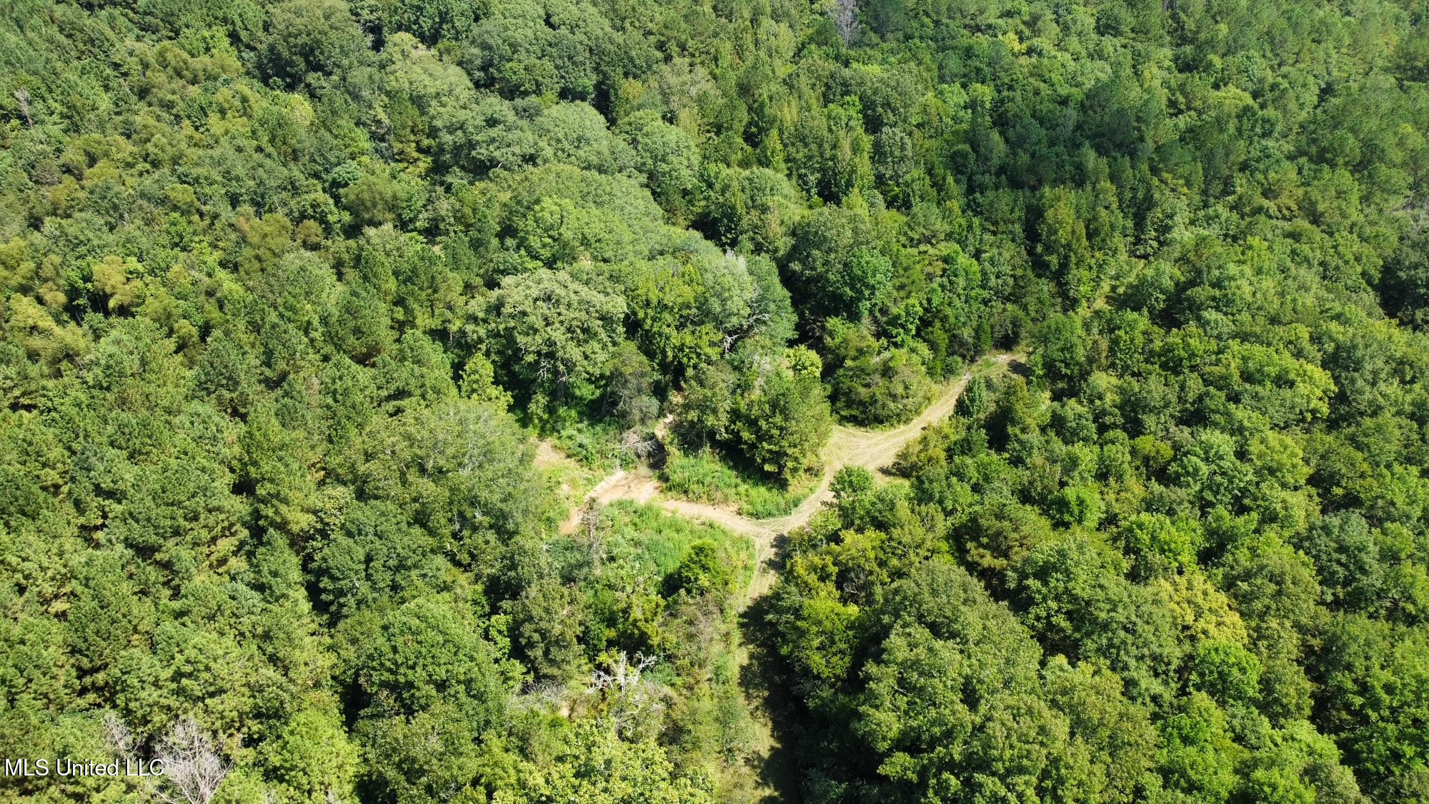 2 Forest Service Road 562 Pulaski, MS 39152 - Photo 48 of 53 316