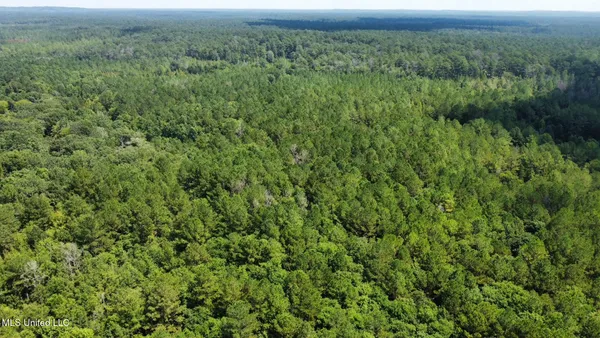 $355,000 | 2 Forest Service Road 562, Pulaski, MS 39152