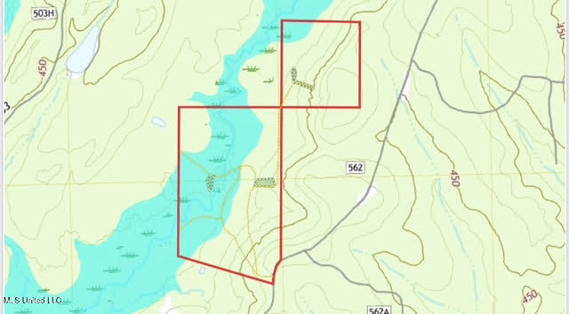 2 Forest Service Road 562 Pulaski, MS 39152 - Photo 52 of 53 401