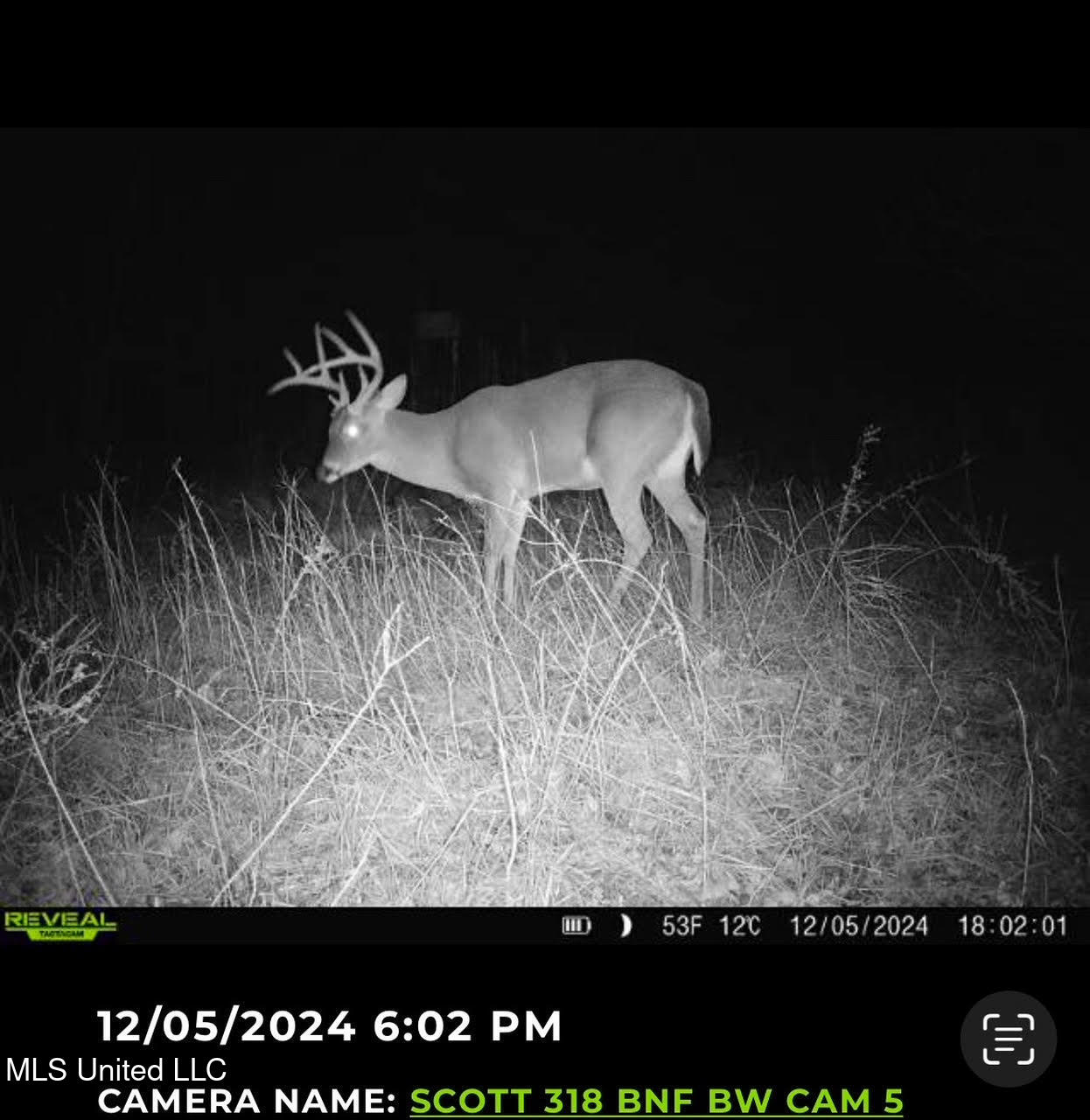 2 Forest Service Road 562 Pulaski, MS 39152 - Photo 7 of 53 86