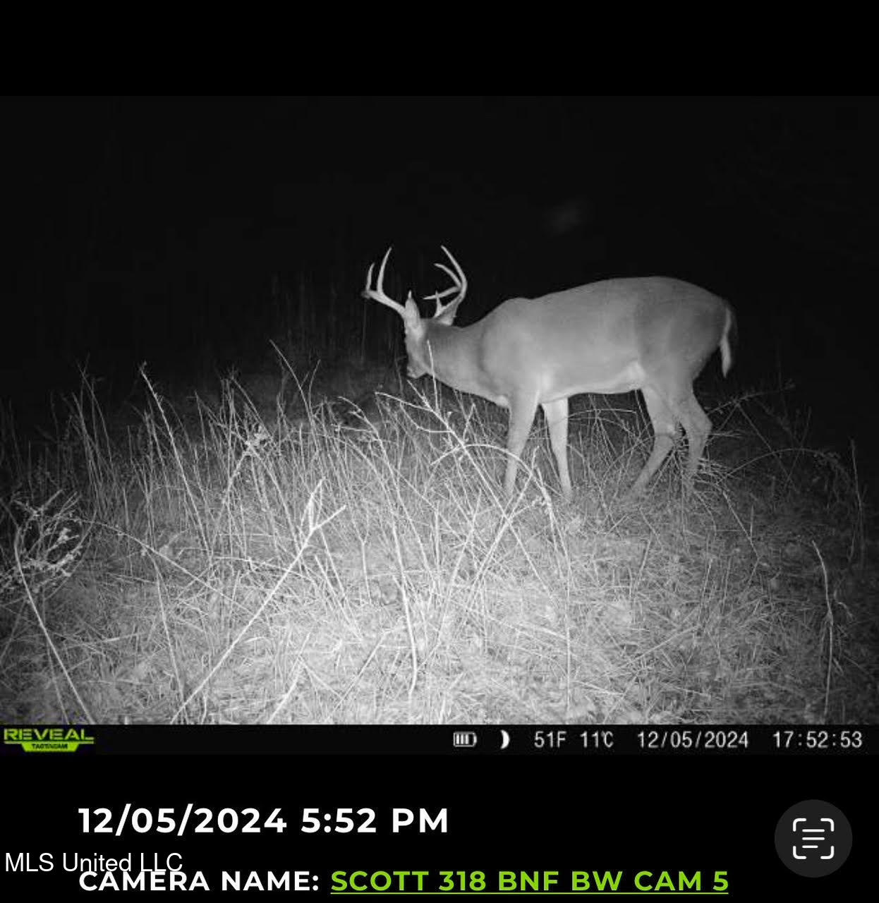 2 Forest Service Road 562 Pulaski, MS 39152 - Photo 8 of 53 87